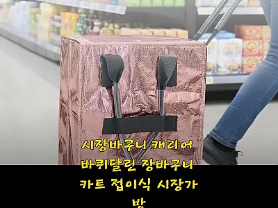 시장바구니 캐리어 바퀴달린 장바구니  관련 이미지